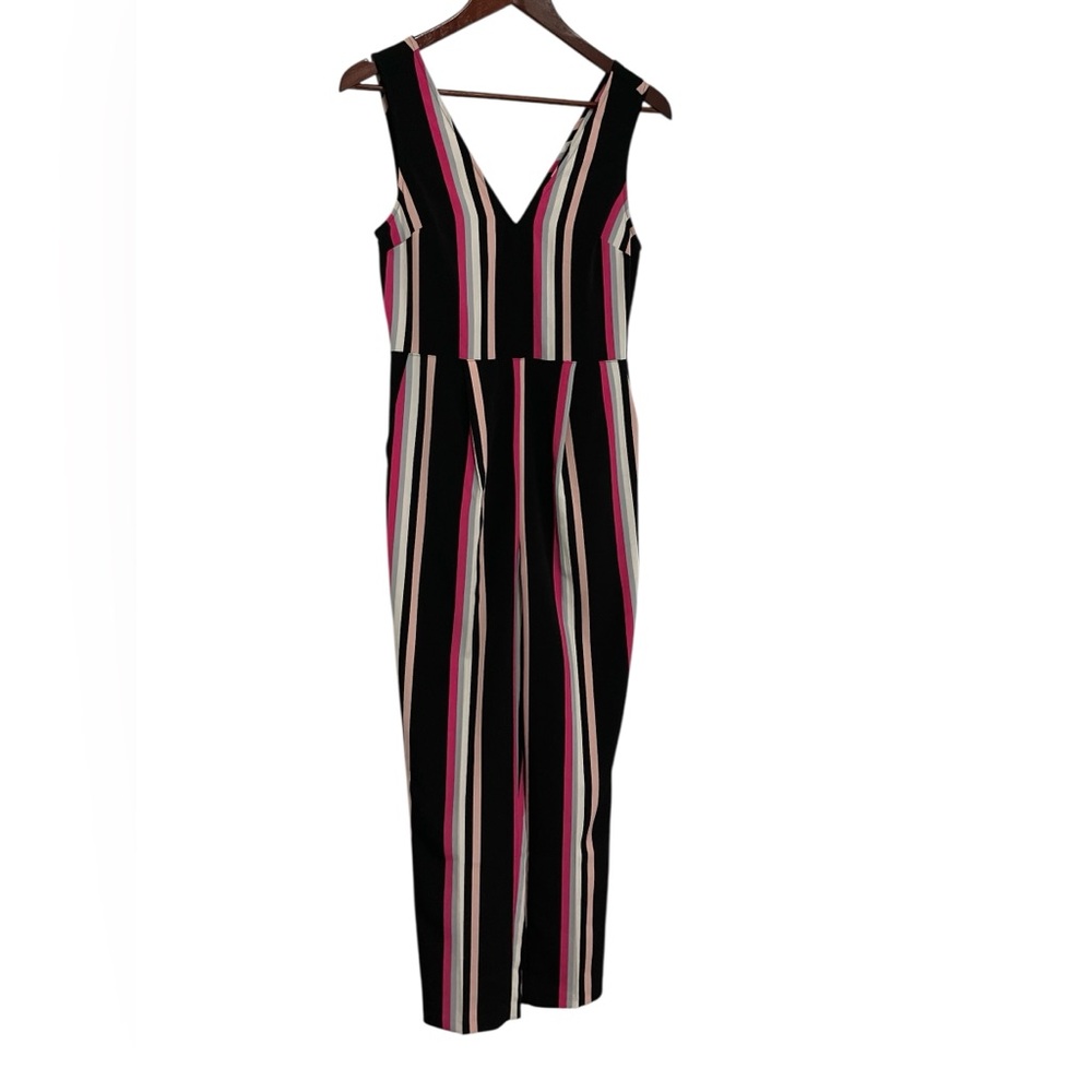 Express Stripe Sleeveless Jumpsuit